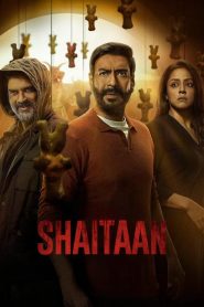 Download Shaitaan (2024) Dual Audio Movies