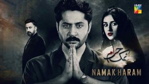 NAMAK HARAM (2023) PAKISTANI DRAMA COMPLETE SHOW 1080P