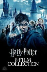 Harry Potter Complete Collection (2001-2011) 720p – 1080p AMZN WEB-DL x264 Dual Audio [English DDP 5.1 + Hindi DDP 2.0 & 5