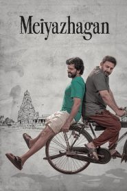 Download Meiyazhagan (2024) Dual Audio Movies