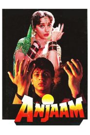 Anjaam (1994) Bollywood (Hindi)