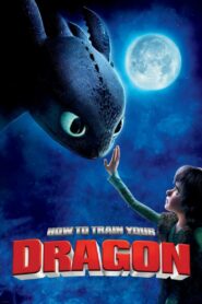 Download How to Train Your Dragon (2010) Dual Audio Movies