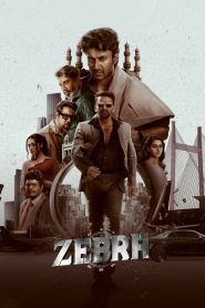 Download Zebra (2024) South+Movies+Hindi-Dubbed[ZinkMovies] 480p | 720p | 1080p