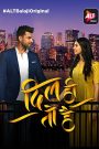 Dil Hi Toh Hai (2018) Dual Audio Tv Show