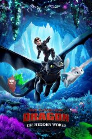 Download How to Train Your Dragon: The Hidden World (2019) Dual Audio Movies